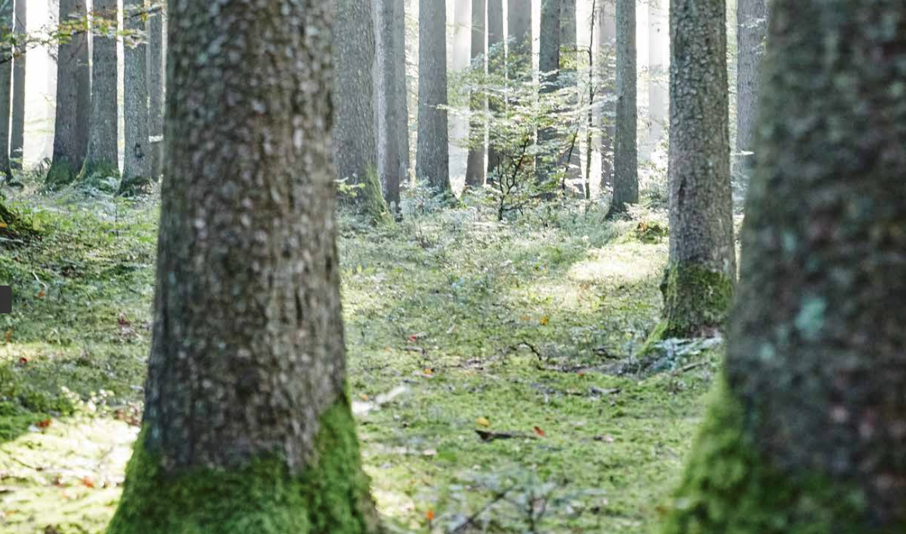 Erlebe deine Kueche mit allen Sinnen